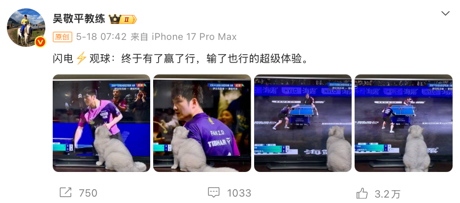乐鱼官方网站-输了球的樊振东，有了活人感